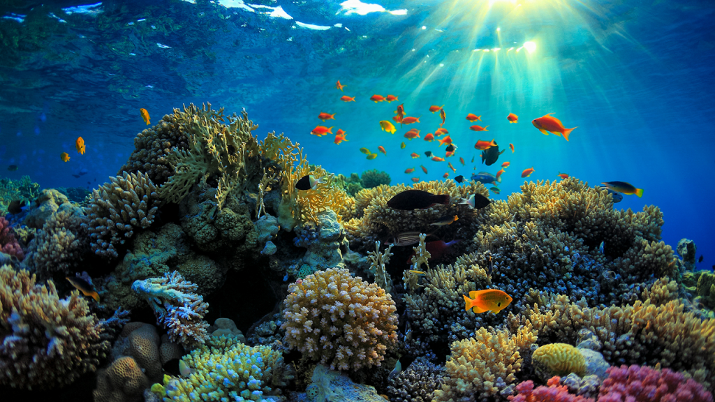 Great Barrier Reef