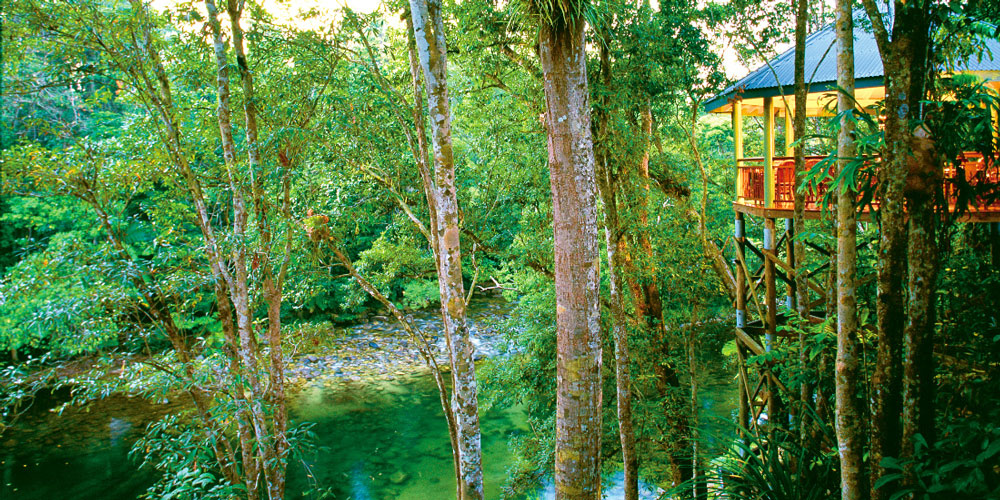 Forest Lodge Australia