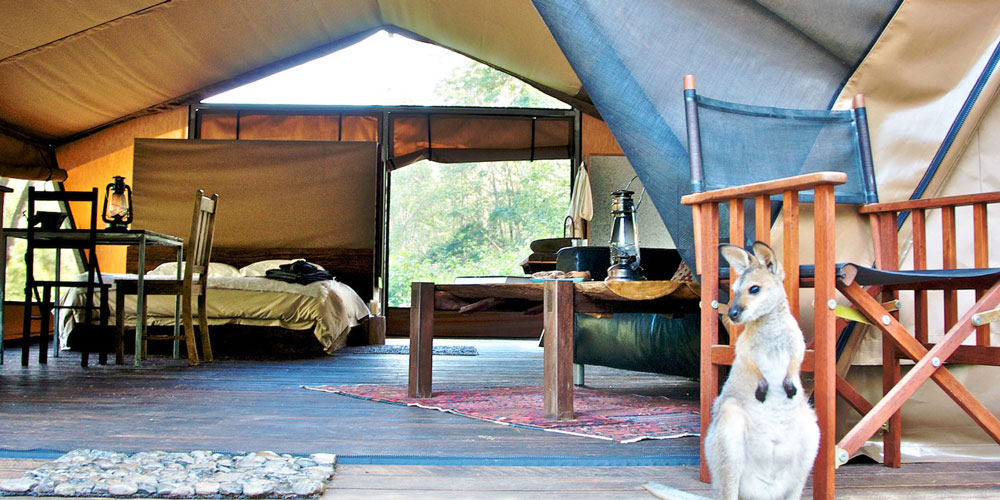 Luxury Glamping Australia