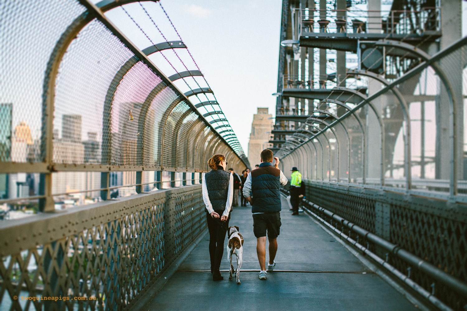 Walking Dog on Bridge