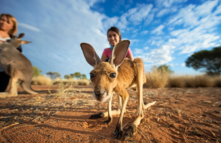 desert australia