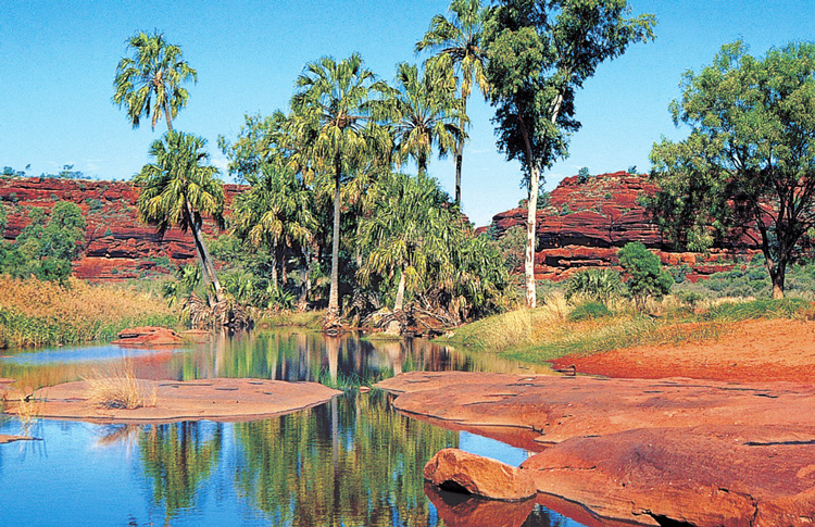 Palm Valley Alice Springs