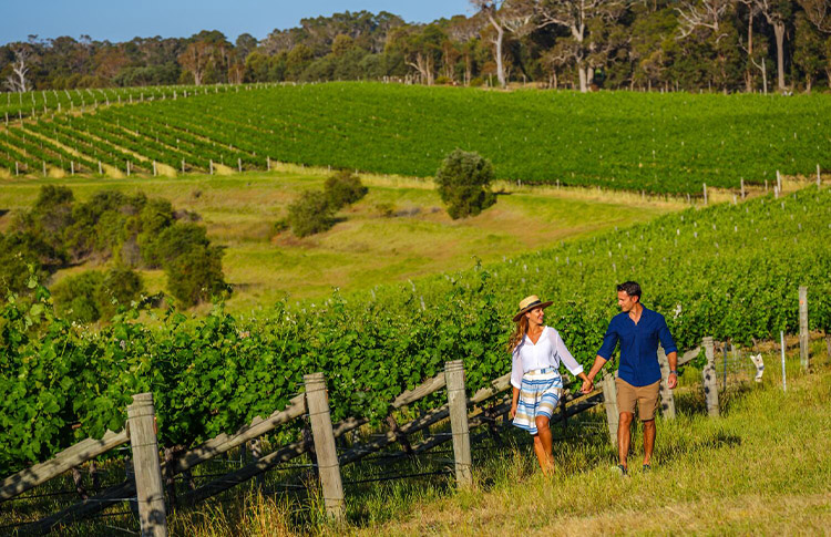 Margaret River Wine Country