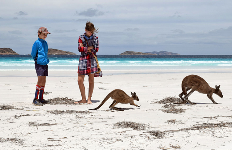 Esperance beaches with Kangaroos