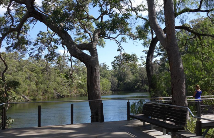 Warner Glen campground Blackwater River National Park