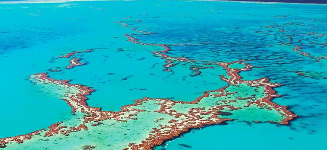 Barrier Reef