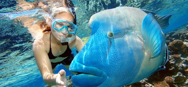 Great Barrier Reef