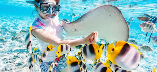 Lady Elliot Island