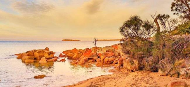 Freycinet