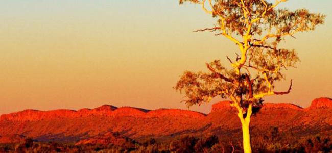 Macdonnell Ranges