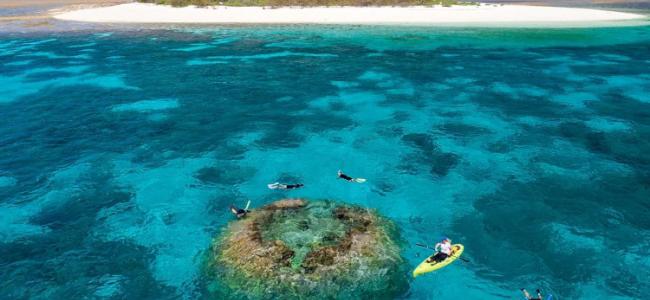 Wilson Island Kayaking