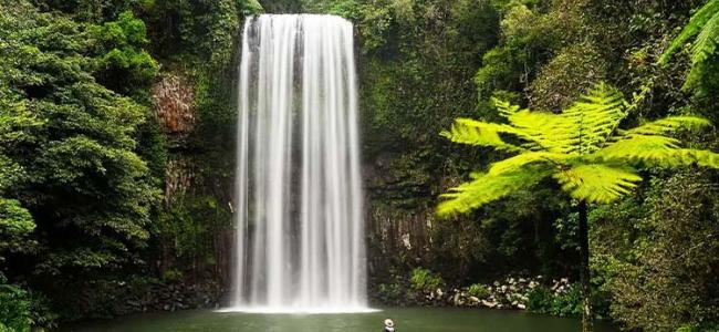 Queensland Millaa Millaa Falls