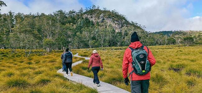 Cradle Valley Hike