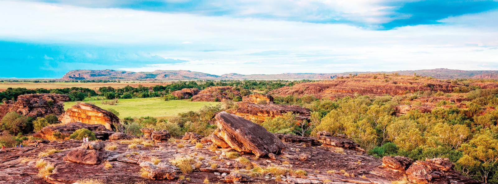 Kakadu Safari