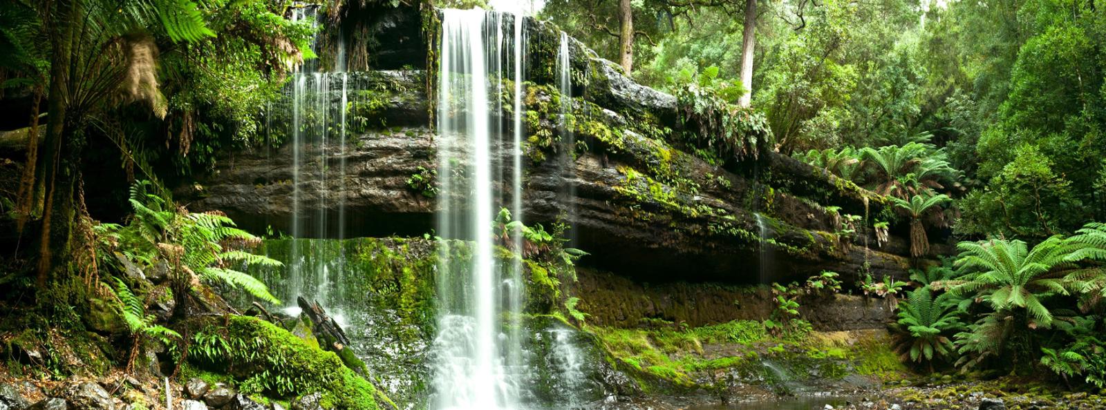 Tassie’s Parks and Nature