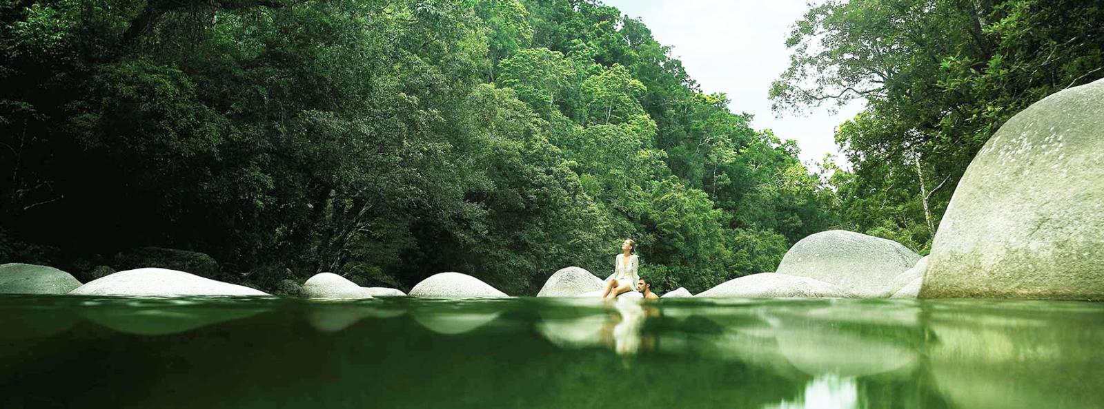 Daintree Mossman