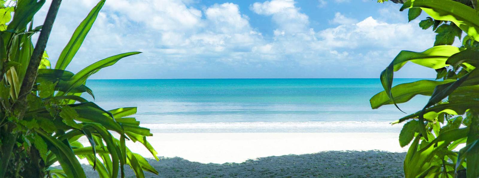 Tropical North Queensland Itinerary 