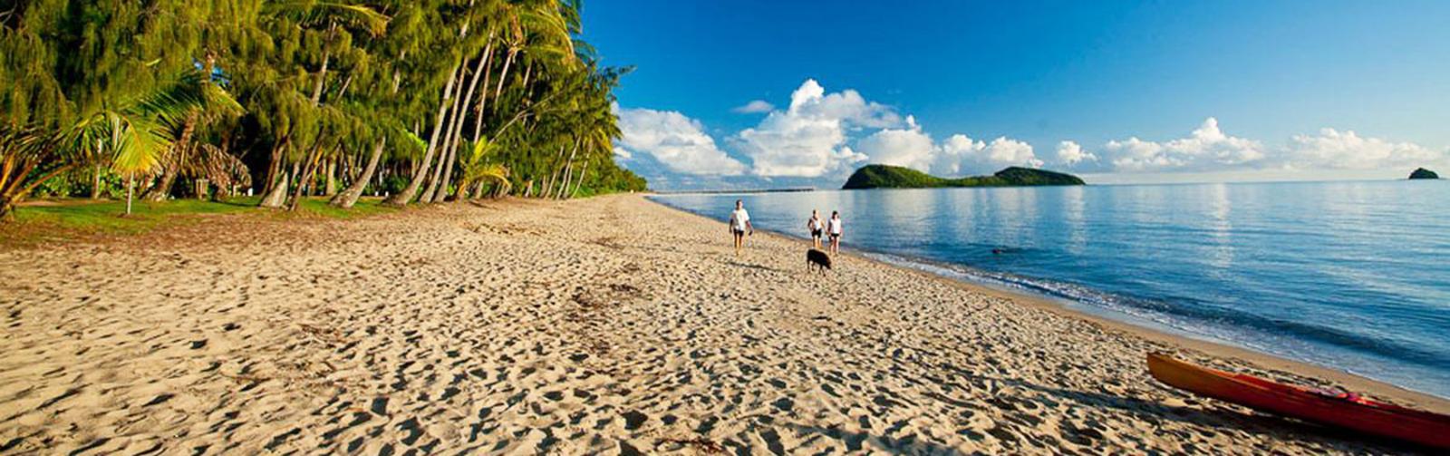 Palm cove