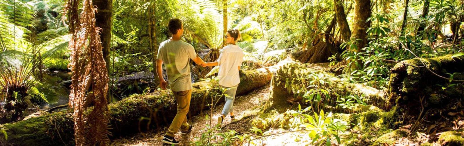 10 Day Wonders of Tasmania Self Drive