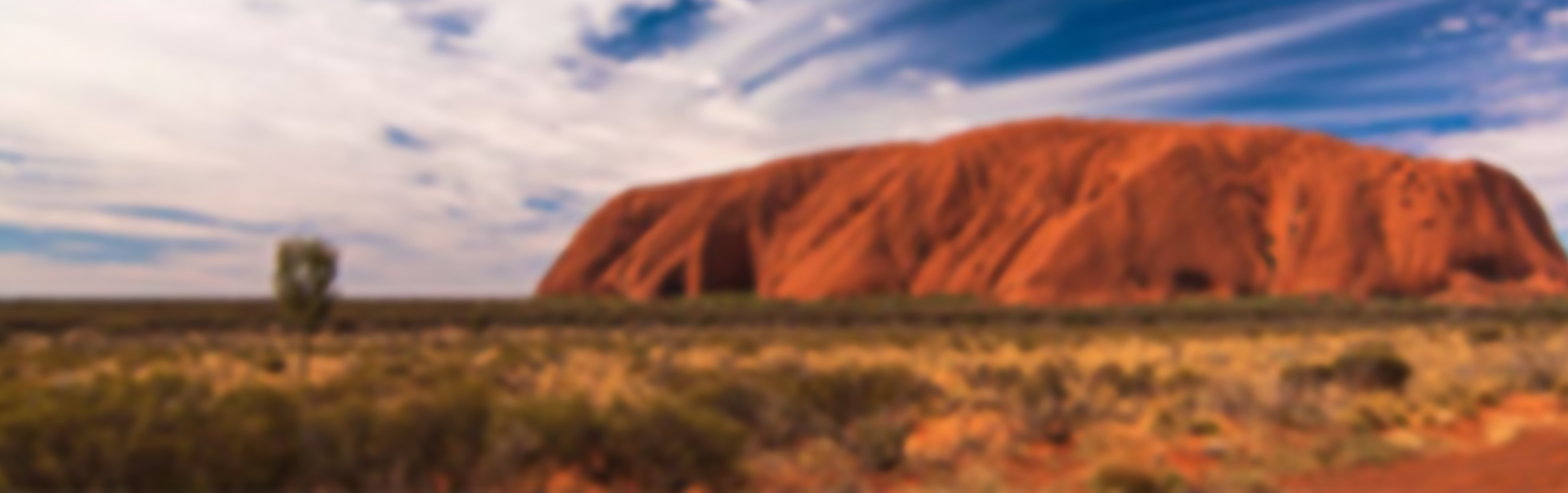 Peoples Choice - TripAdvisor Award