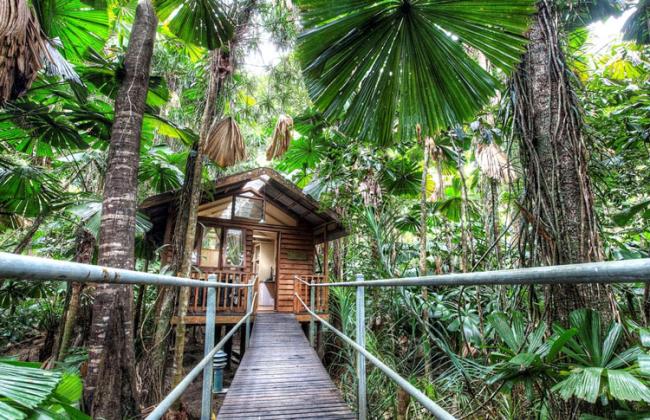 Daintree Eco Lodge