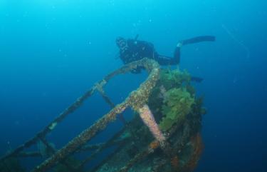 Diving in New Zealand