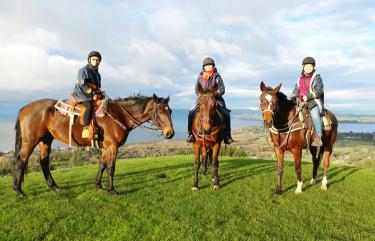 Horse Riding NZ