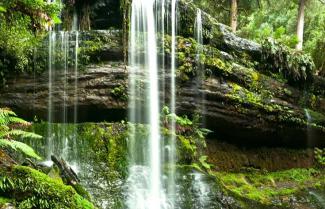 Tassie’s Parks and Nature