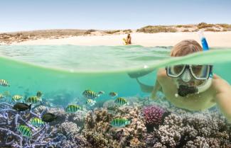 Ningaloo Reef