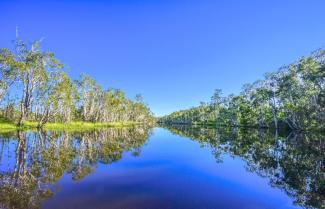 Noosa Everglades