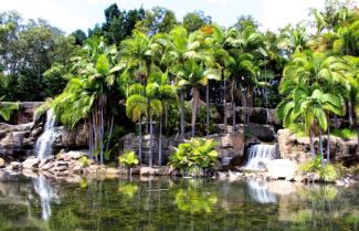 Rockhampton Botanical Gardens