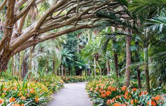 Sydney Royal Botanic Gardens