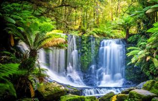 Mt Field National Park