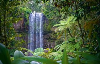 Artherton Tablelands