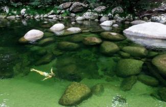 Daintree Billabong