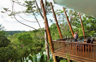 Rose Wilderness Lodge