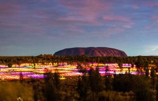 Uluru Field Of Light