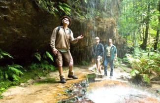 hiking in the blue mountains