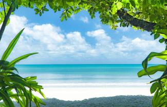 Cape Tribulation Beach