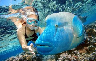 Barrier Reef