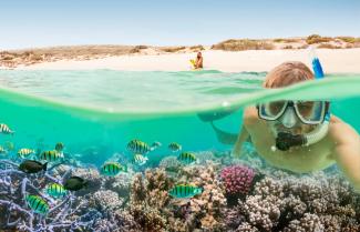 Ningaloo Reef Snorkel