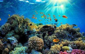 Great Barrier Reef