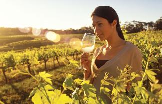 Barossa Valley Tasting