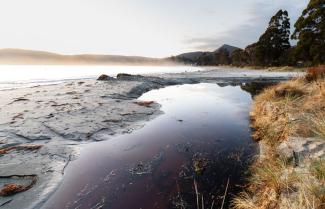 Bruny Island Mt Mangana