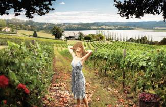 Tamar Valley Wine Tour