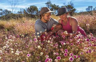 Bremer Bay Wildflowers