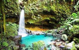 Daintree Rainforest