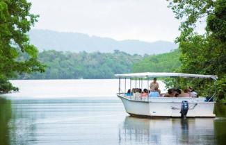 Daintree Cruise