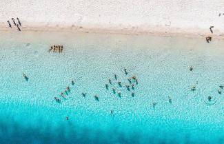 Fraser Island