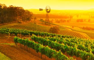 hunter Valley